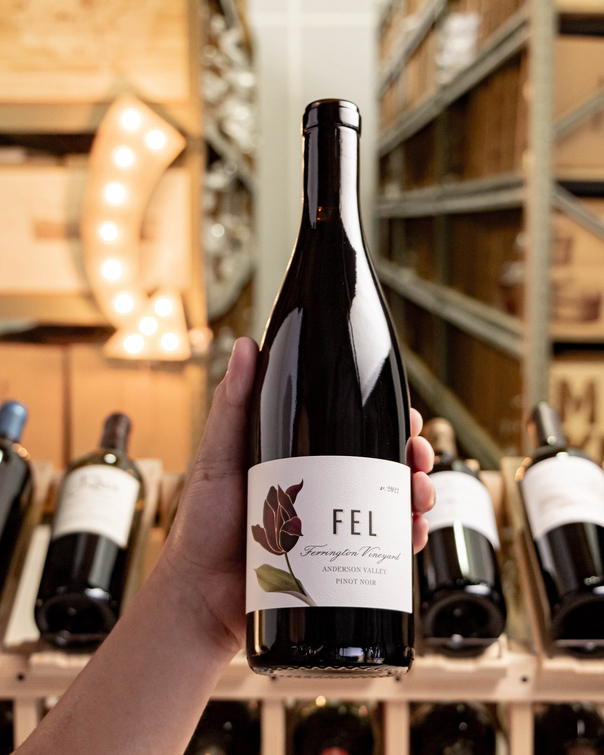 FEL Wines Ferrington Vineyard Pinot Noir Anderson Valley 2022