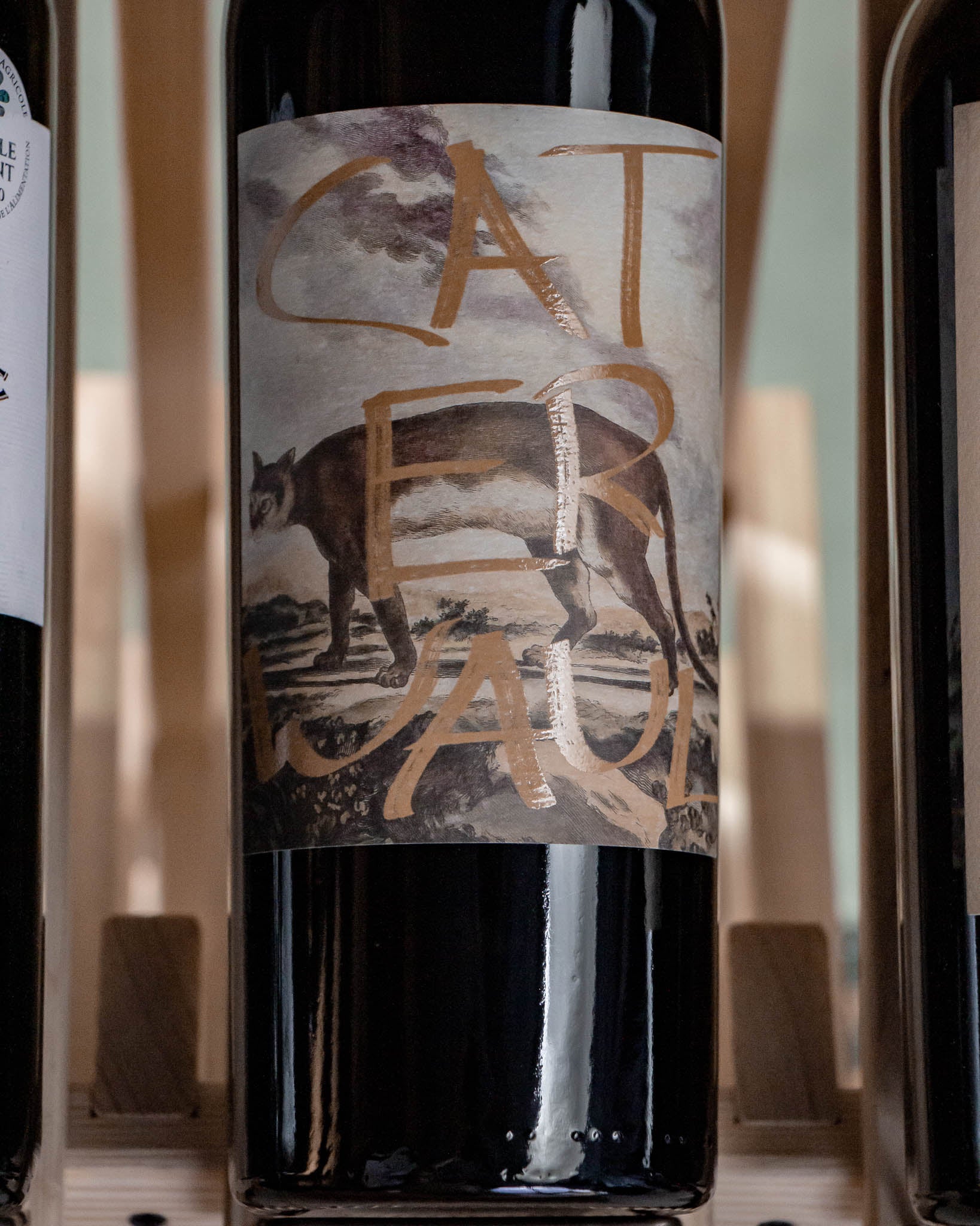 Caterwaul Cabernet Sauvignon Napa Valley 2022