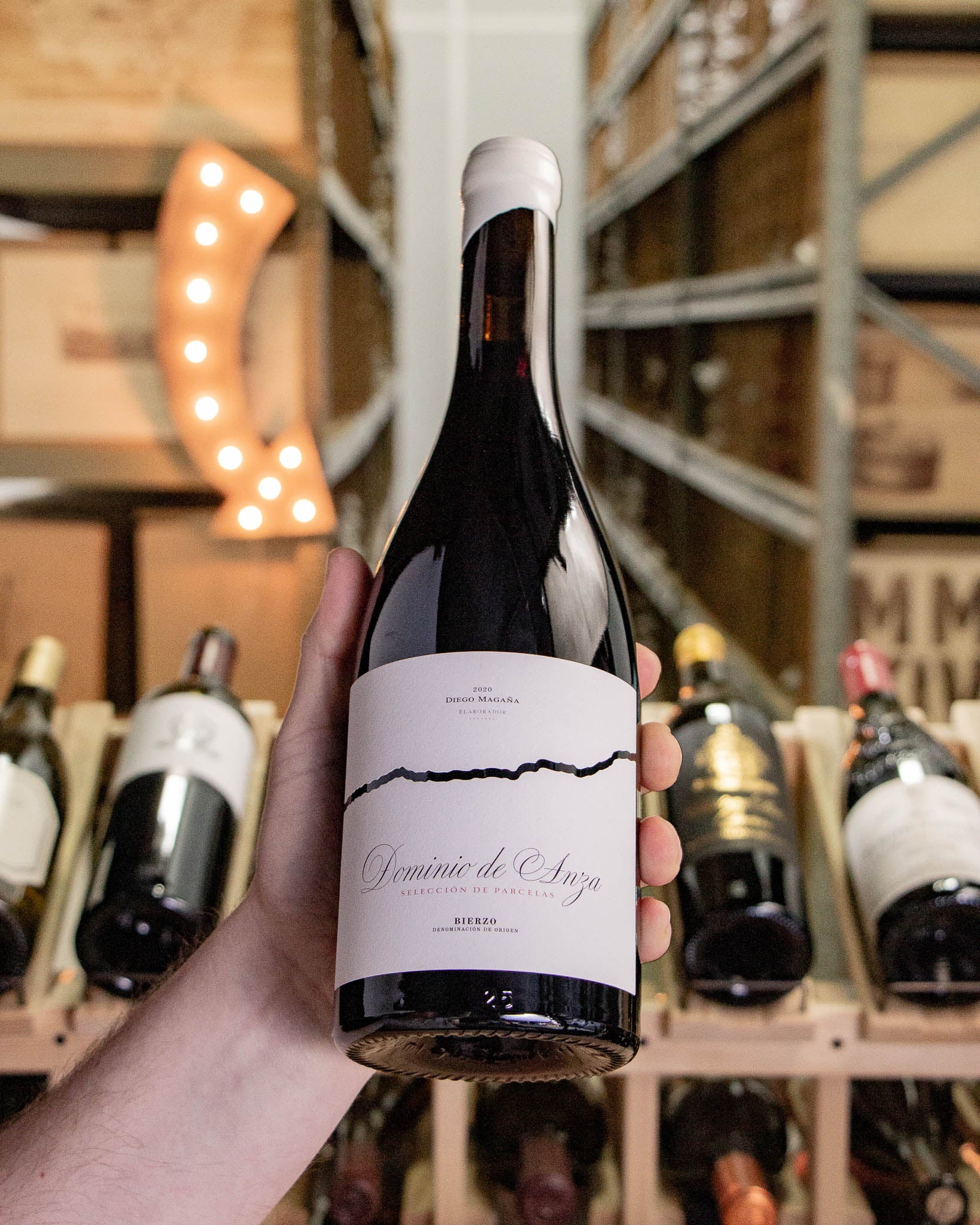 Diego Magana Dominio de Anza Bierzo Tinto Seleccion de Parcelas 2020