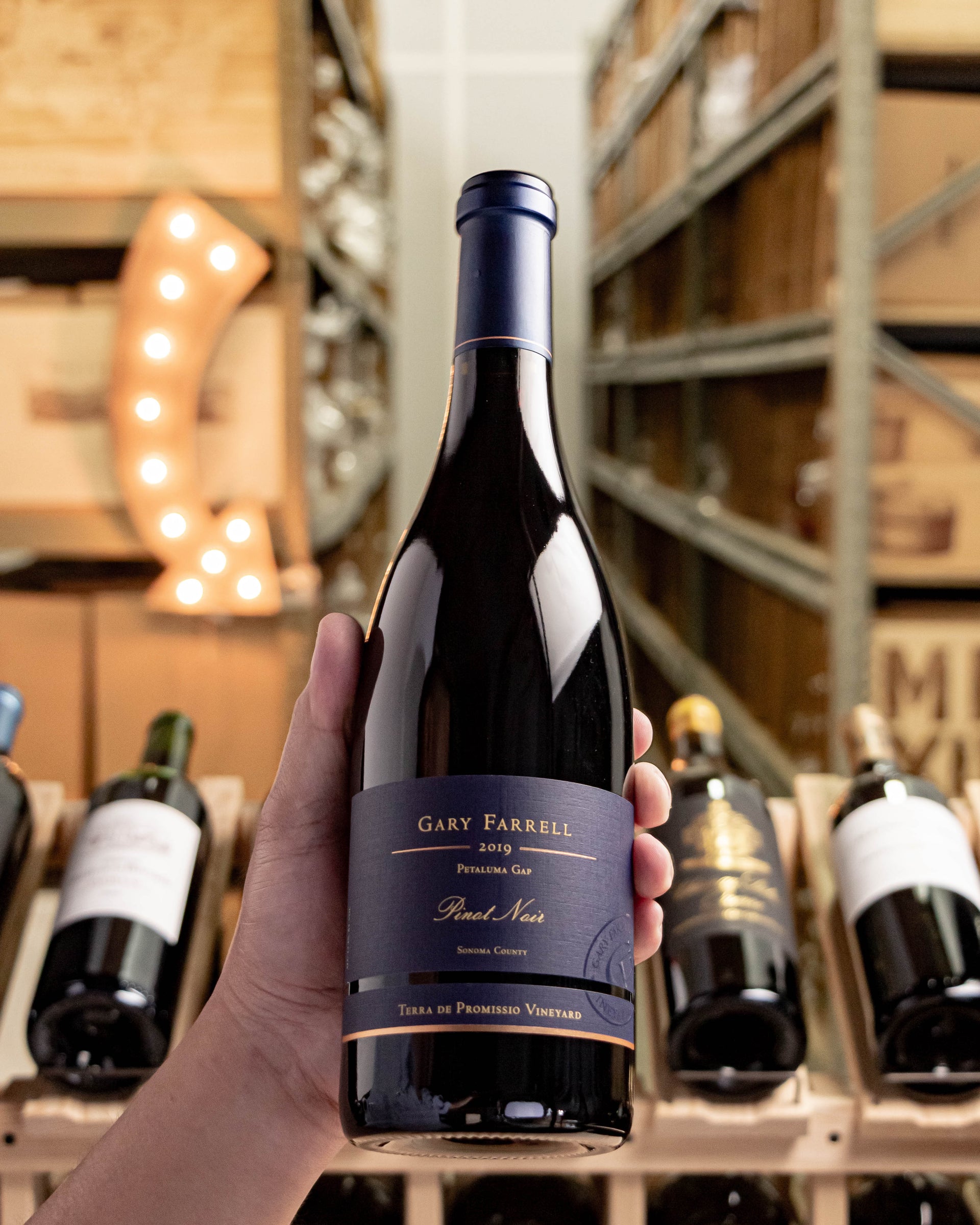 Gary Farrell Pinot Noir Terra de Promissio Vineyard Petaluma Gap 2019