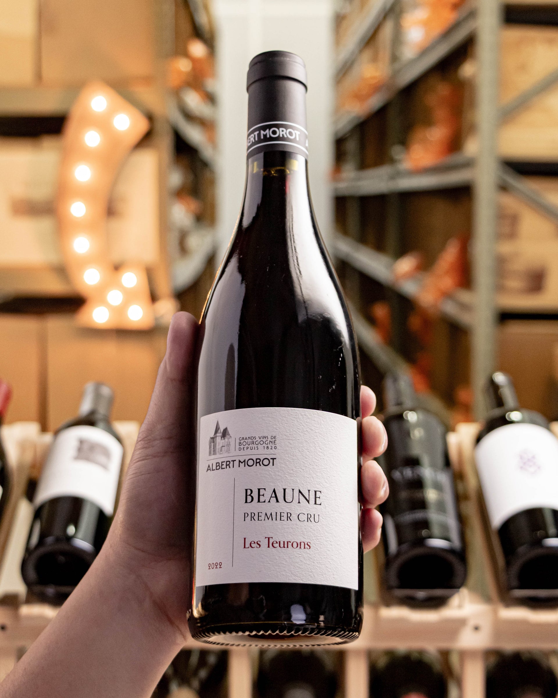 Albert Morot Beaune Clos les Teurons Premier Cru 2022