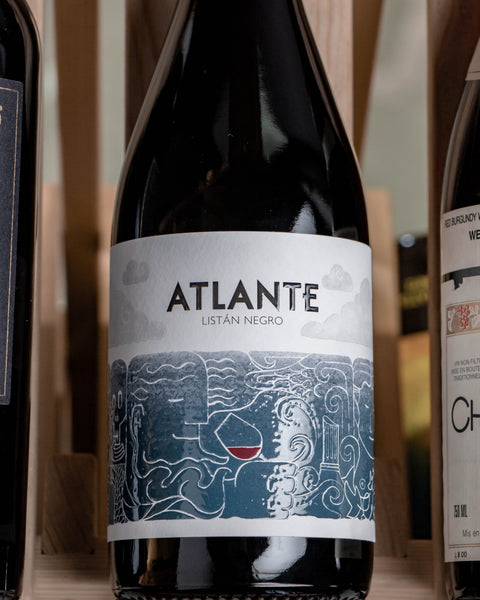 Atlante Listan Negro Valle de la Orotava Canary Islands 2019
