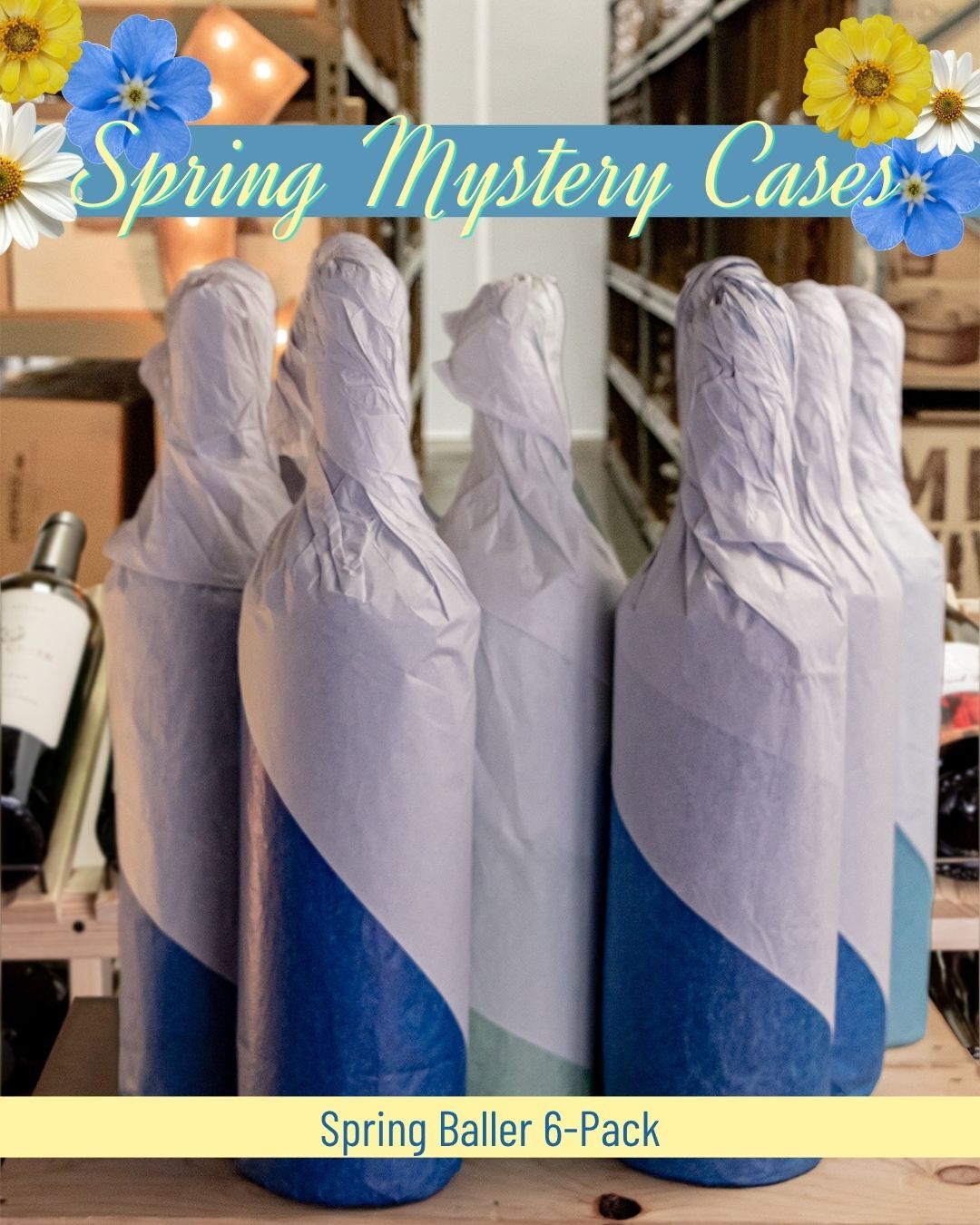 Mystery Spring Baller 6-Pack (2026)