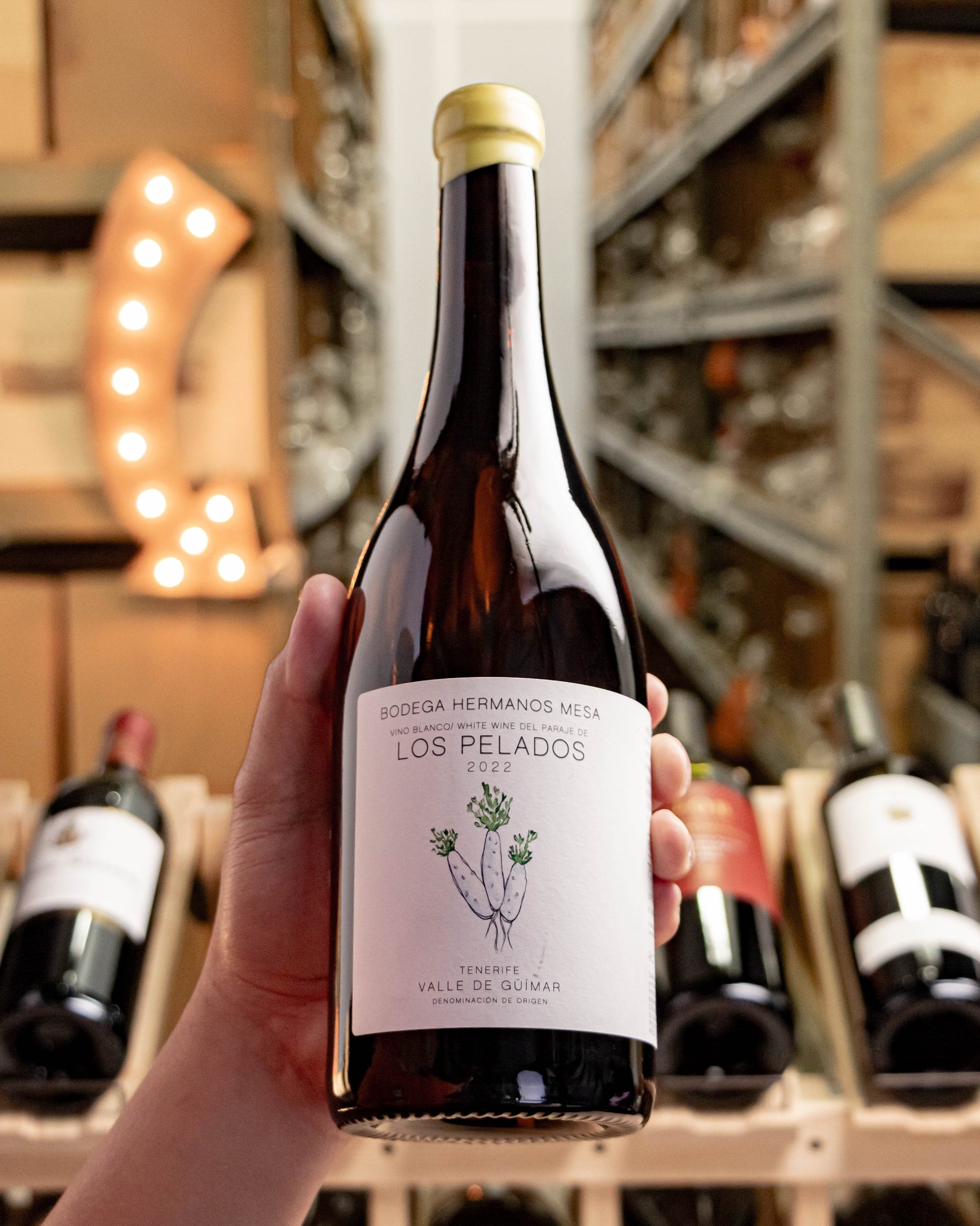 Bodega Hermanos Mesa Blanco Los Pelados Tenerife Valle de Guimar 2022
