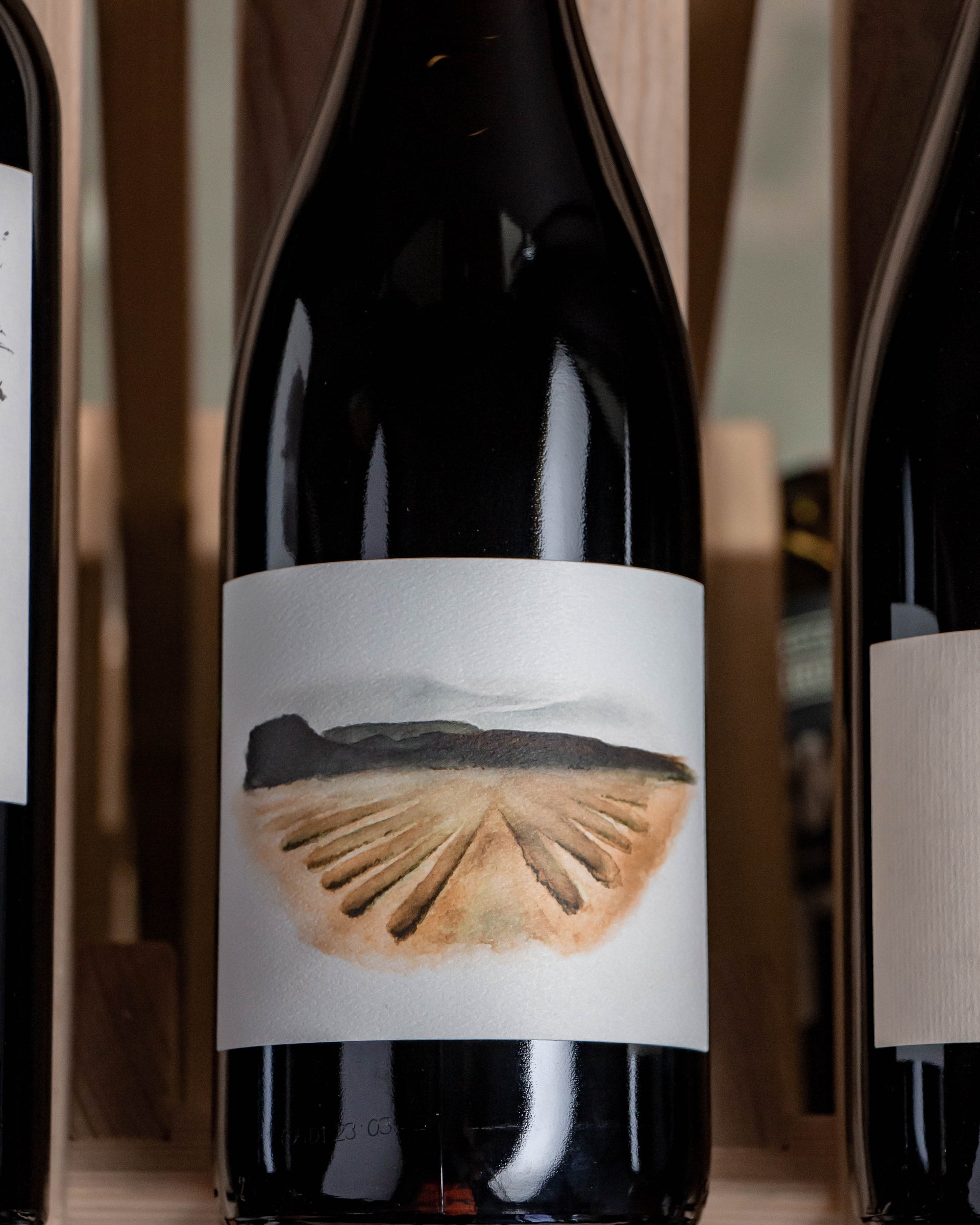 Brij Wines Mourvèdre Enz Vineyard San Benito County 2023