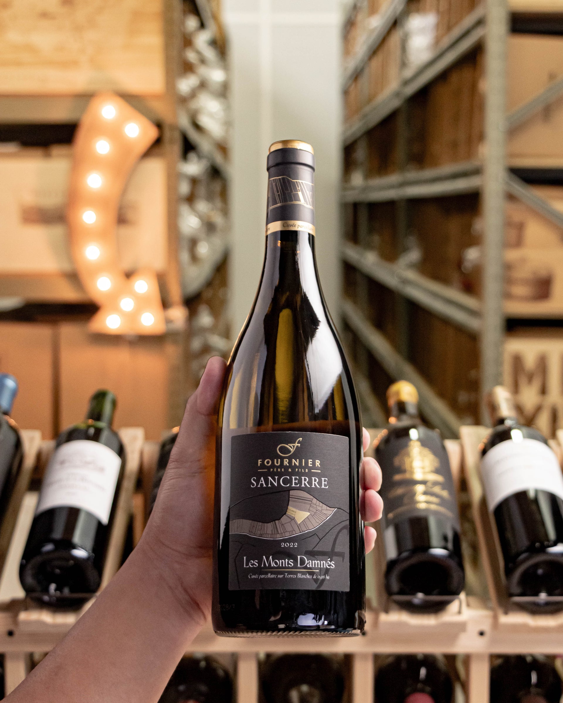Fournier Père et Fils Monts Damnés Sancerre 2022