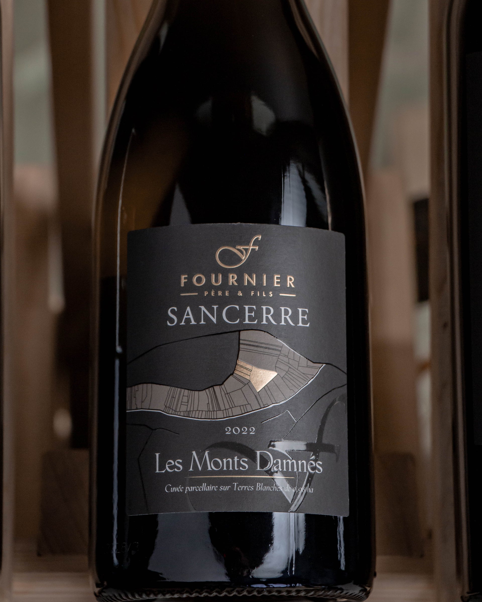 Fournier Père et Fils Monts Damnés Sancerre 2022