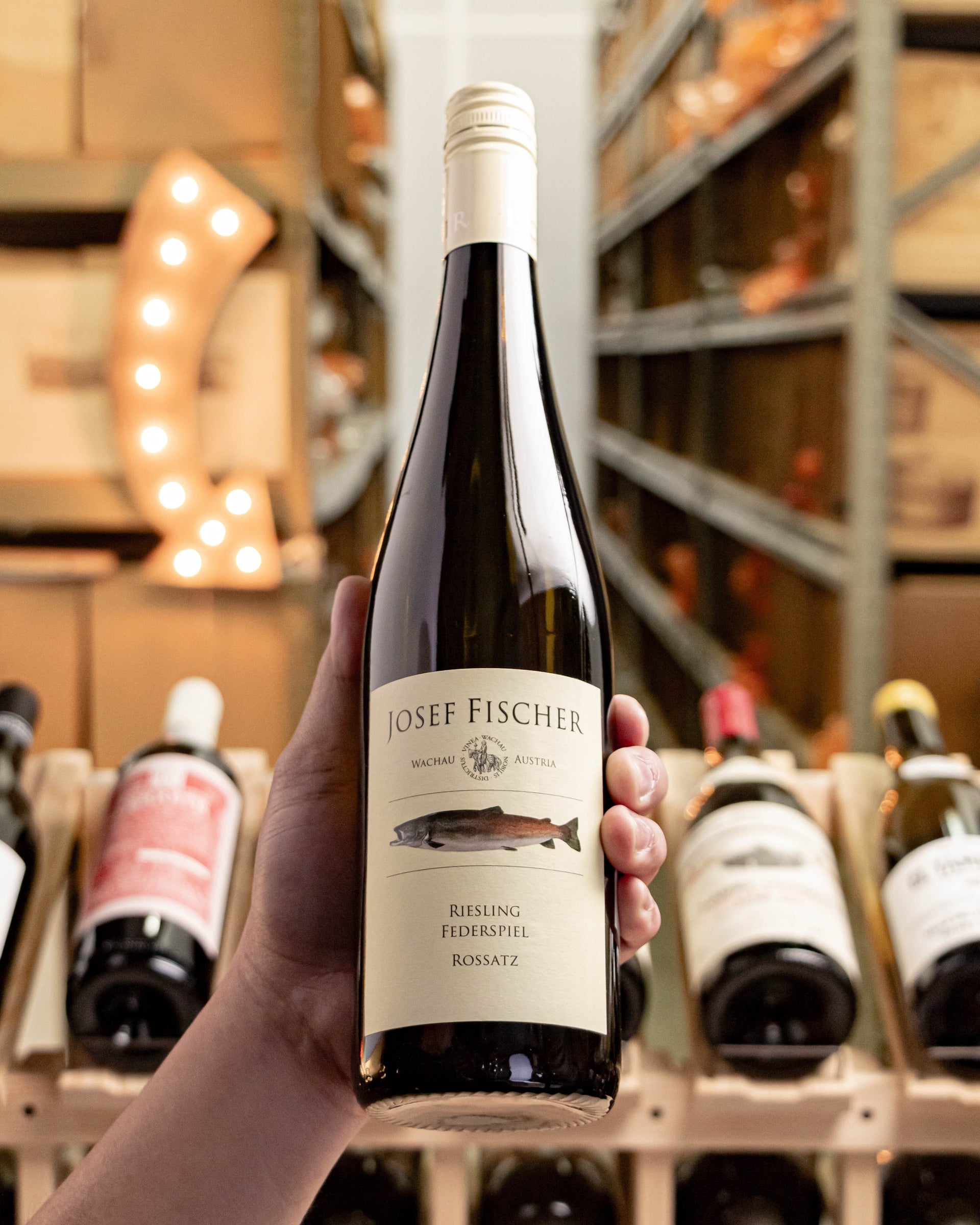 Josef Fischer Riesling Federspiel Rossatz Wachau 2022