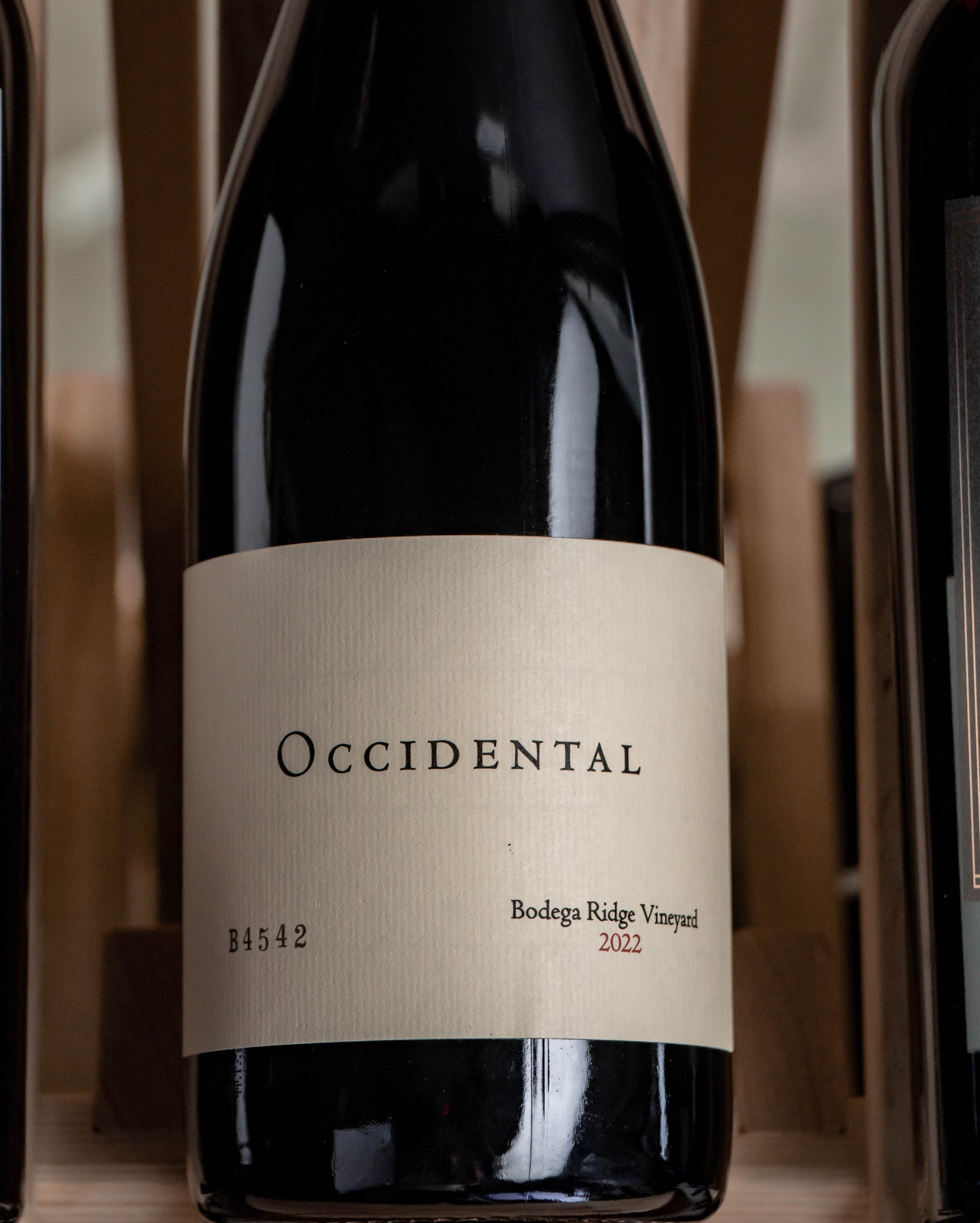 Occidental Pinot Noir Bodega Ridge Vineyard Sonoma Coast 2022