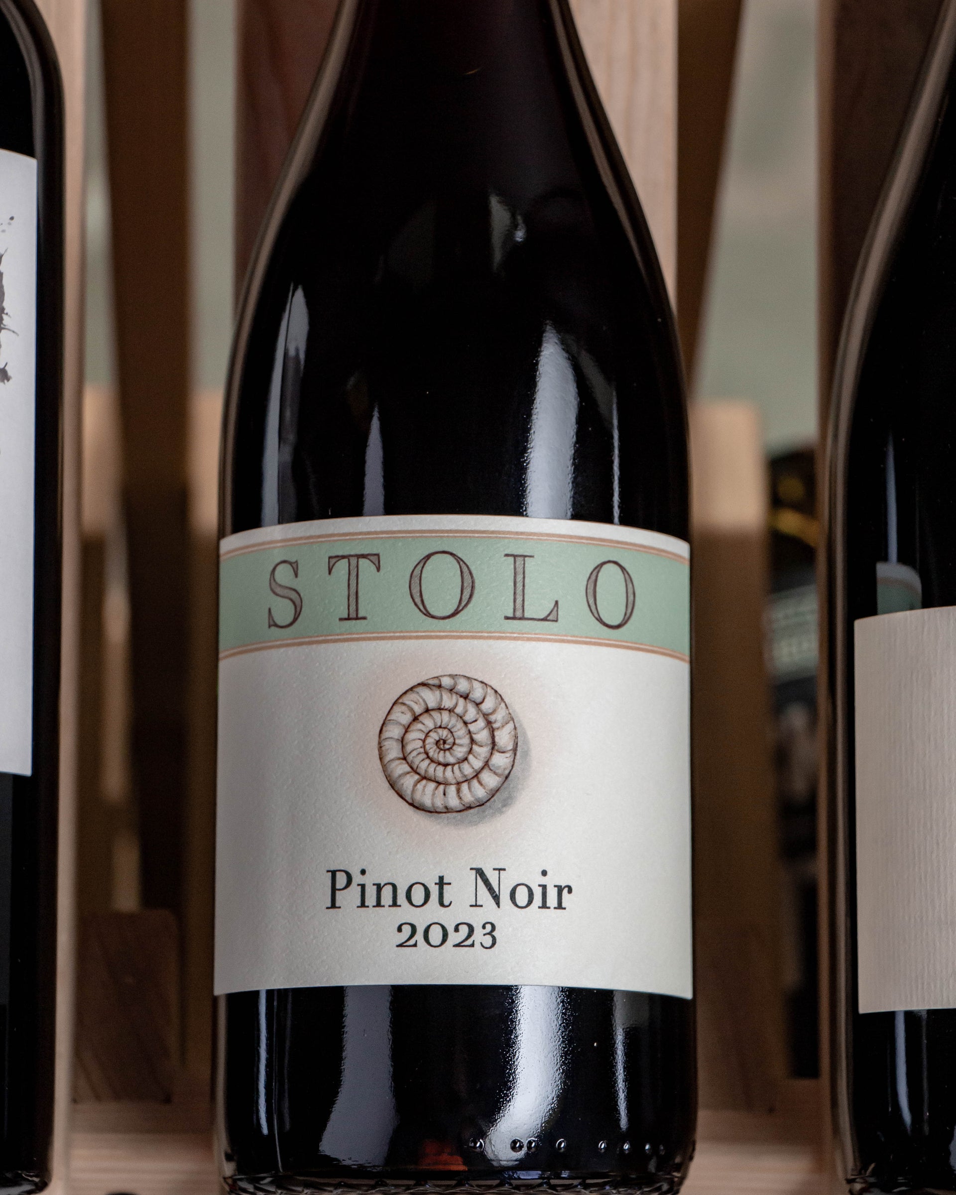 Stolo Pinot Noir SLO Coast 2023